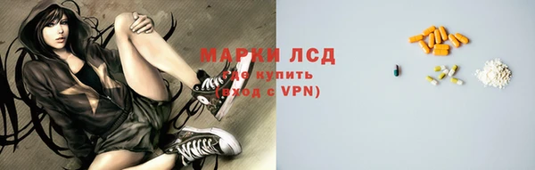 ПСИЛОЦИБИНОВЫЕ ГРИБЫ Алзамай