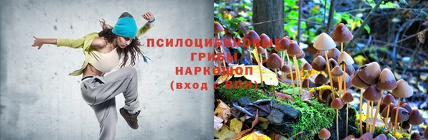 ALPHA PVP Алексин