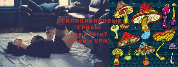 ПСИЛОЦИБИНОВЫЕ ГРИБЫ Алзамай