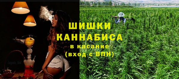 ПСИЛОЦИБИНОВЫЕ ГРИБЫ Алзамай