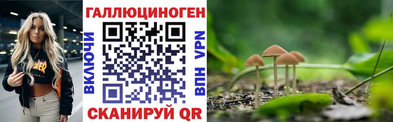 как найти   Апатиты  Псилоцибиновые грибы Magic Shrooms 