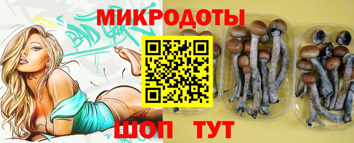 Галлюциногенные грибы мухоморы Апатиты