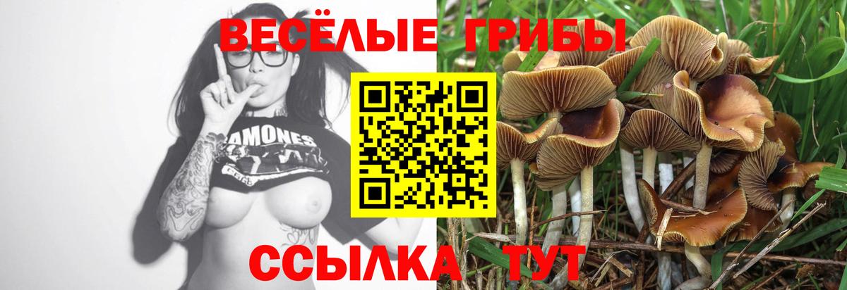 Галлюциногенные грибы Cubensis Апатиты