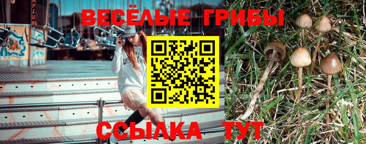 Апатиты  Галлюциногенные грибы Cubensis  Псилоцибиновые грибы Psilocybine cubensis  Вход с VPN 